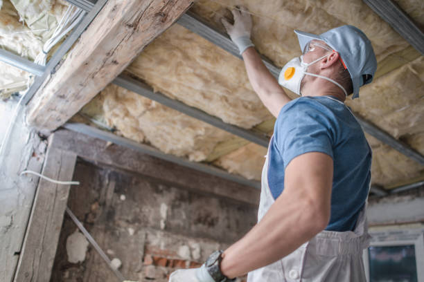 Best Insulation Maintenance and Repair in Alta Sierra, CA