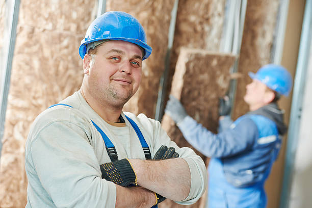 Best Eco-Friendly Insulation in Alta Sierra, CA